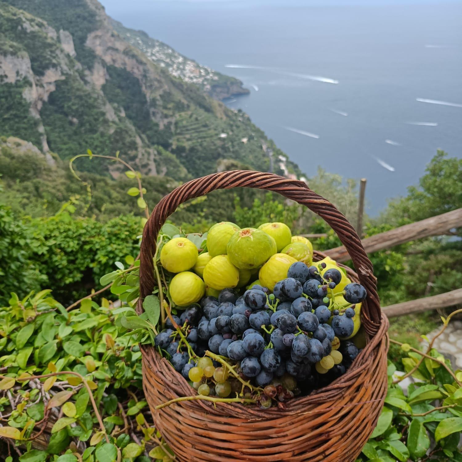Villa Antica Macina Positano Exteriér fotografie