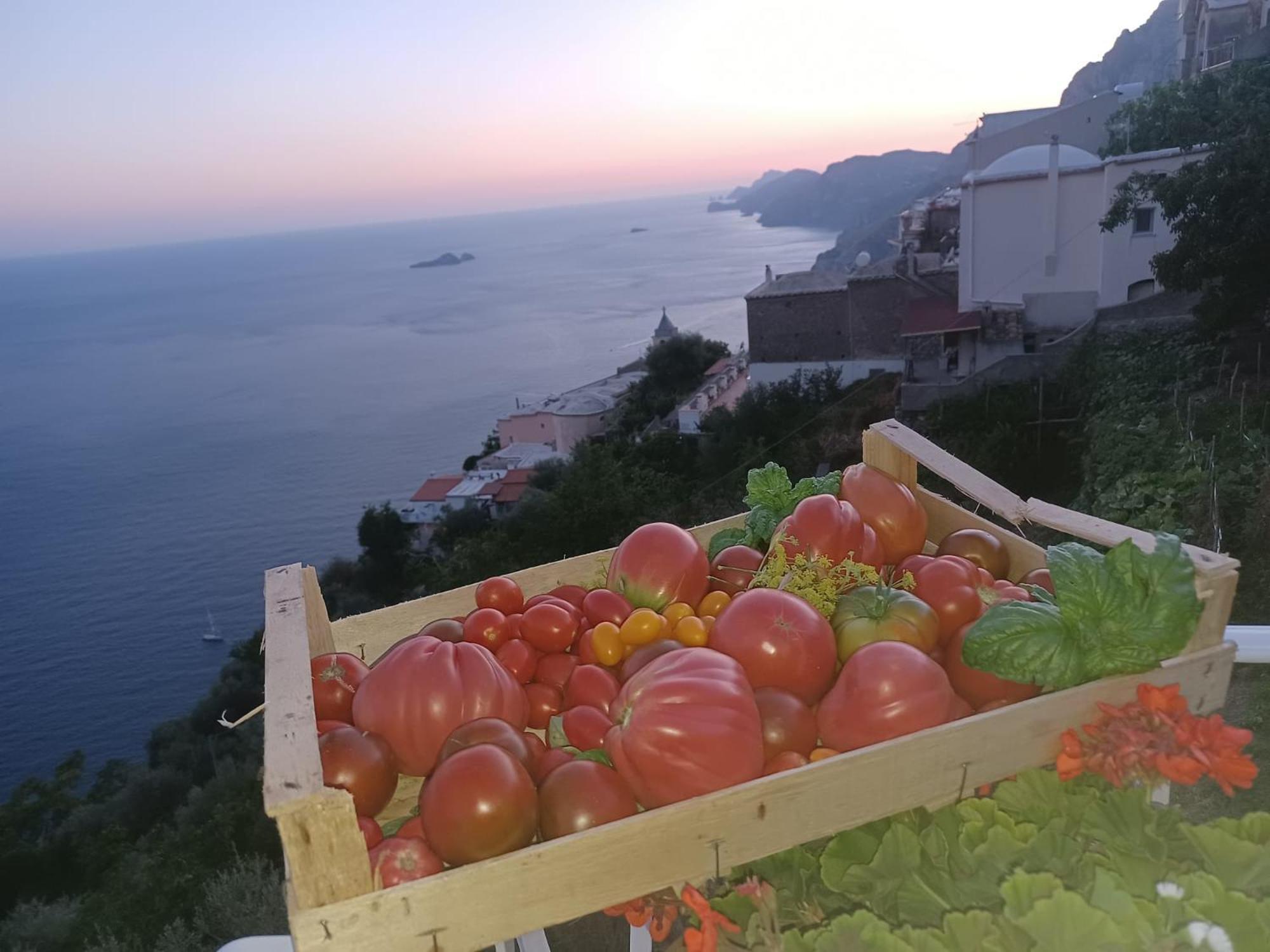 Villa Antica Macina Positano Exteriér fotografie