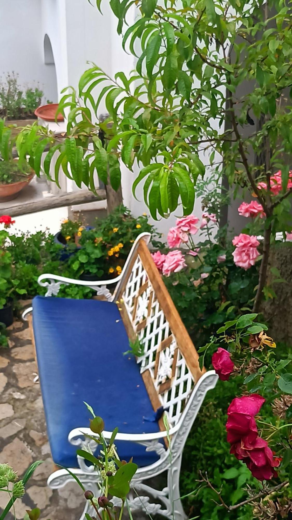 Villa Antica Macina Positano Exteriér fotografie