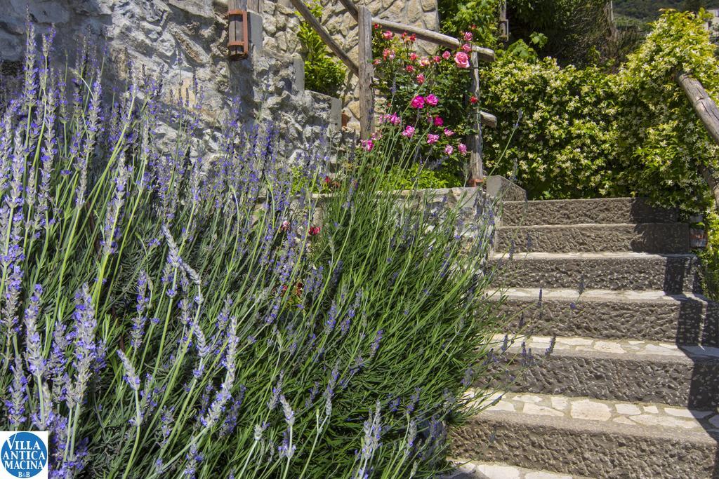 Villa Antica Macina Positano Exteriér fotografie